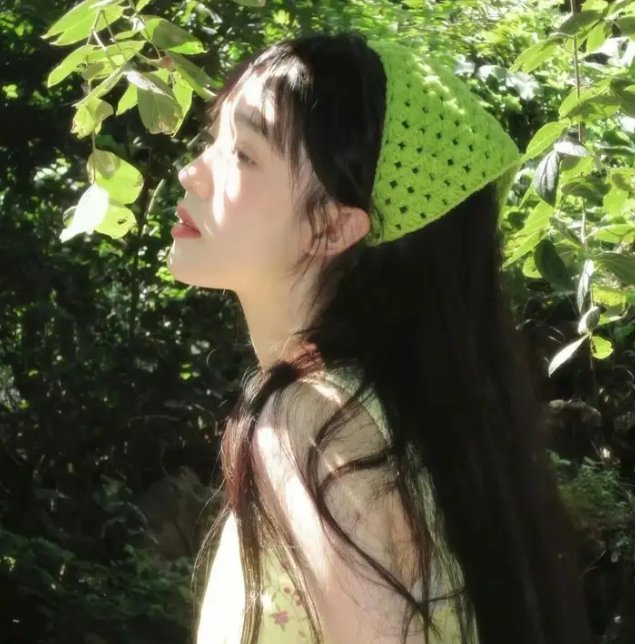 我的明星村长